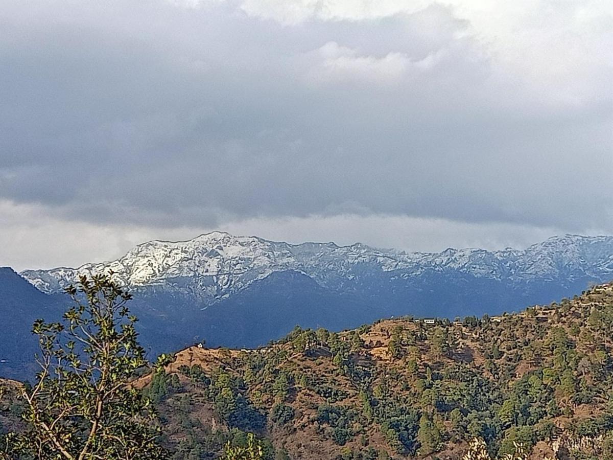 Shiva Valley Resort Kokhliyal Gaon Exterior foto